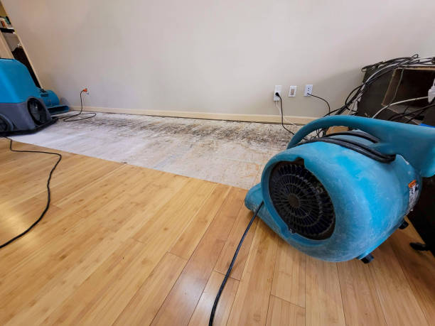 Professional Structural Drying technician working in Acushnet, MA